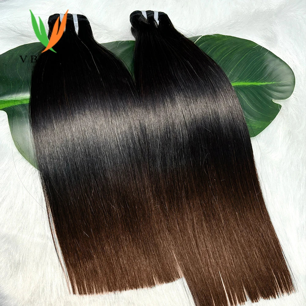 V Beauty 1BT4 Human Hair Bundles Ombre Brown Honey Raw Vietnamese Hair Bundles and Frontal Straight Closure 2x6 HD Lace 20 Inch